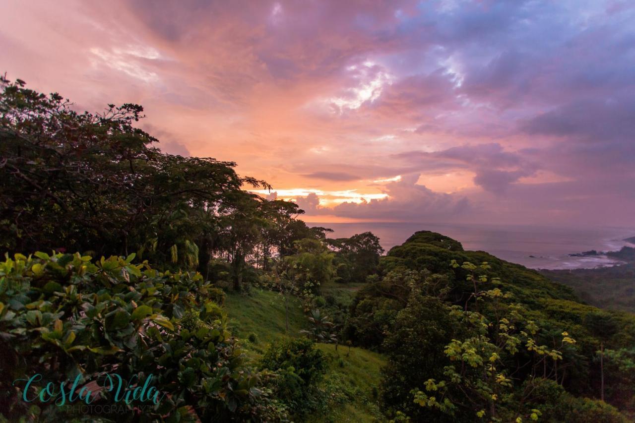 Pacific Edge Eco Lodge Dominical Kültér fotó