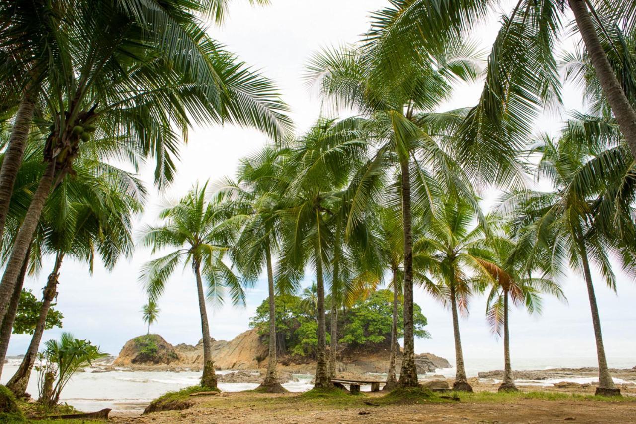 Pacific Edge Eco Lodge Dominical Kültér fotó