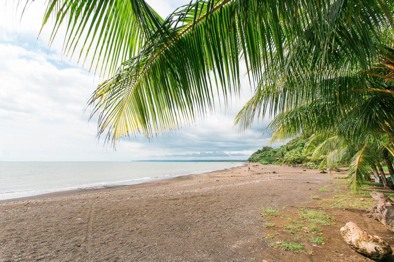 Pacific Edge Eco Lodge Dominical Kültér fotó