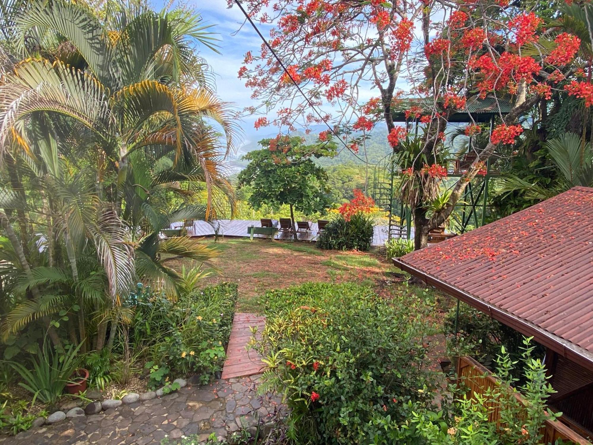 Pacific Edge Eco Lodge Dominical Kültér fotó